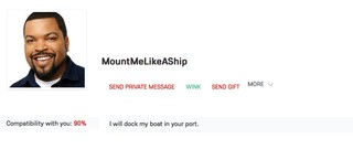 Извините, MountMeLIkeAShip