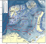 Норвежское прибрежное течение течет на восток вдоль береговой линии и приносит пресную воду с северного норвежского и российского побережья в Баренцево море