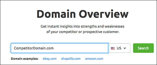 Вернитесь в Domain Analytics и введите полный домен вашего первого конкурента