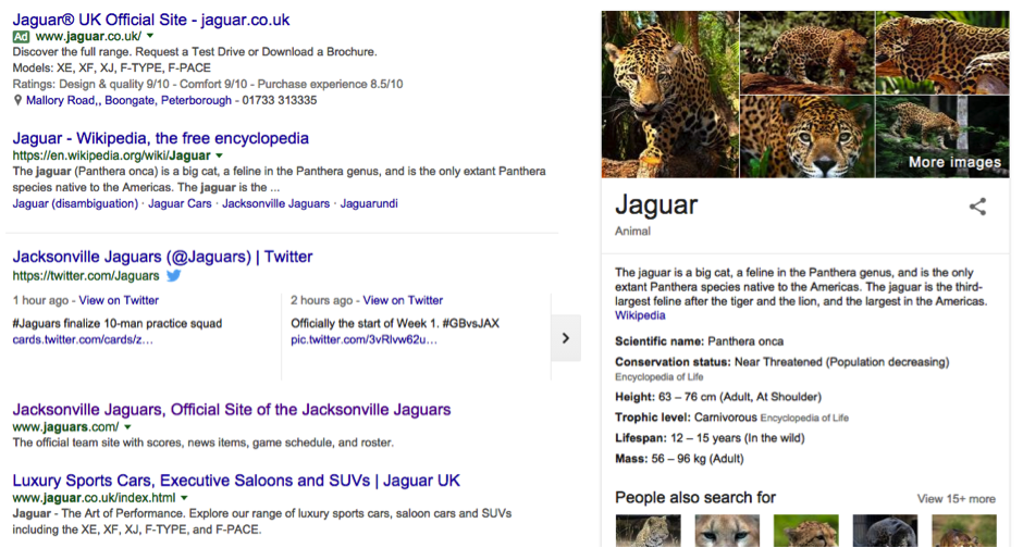 Например, если пользователь искал «Ягуары»   Алгоритм «Запрашиваемое разнообразие» (QDD)   вступит в силу и покажет результаты для марки автомобиля, Джексонвилль Jaguars, а также животных